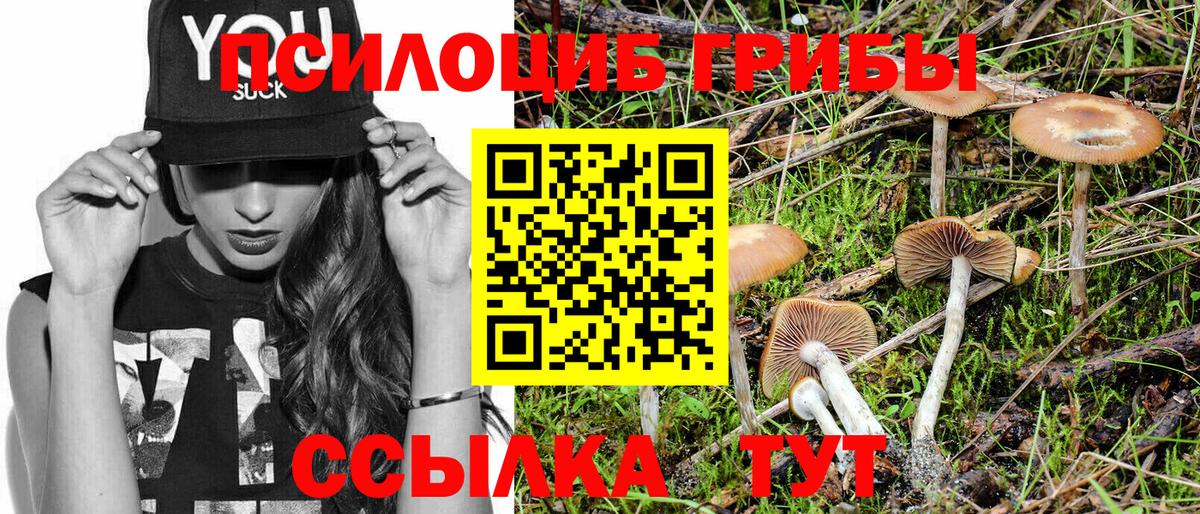 Псилоцибиновые грибы прущие грибы Полысаево