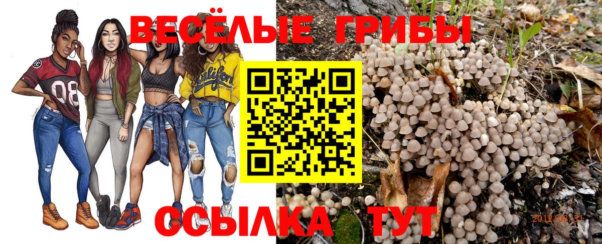 Галлюциногенные грибы GOLDEN TEACHER  Галлюциногенные грибы мухоморы  Вход с VPN  Полысаево 